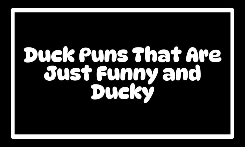 250 Duck Puns That Are Just Funny and Ducky