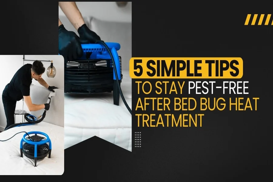 Bed Bug Heat Treatment